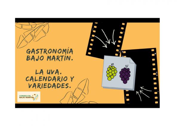 Gastronomía Bajo Martín. La uva. Cultivo y variedades