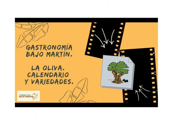 La oliva. Calendario y variedades.